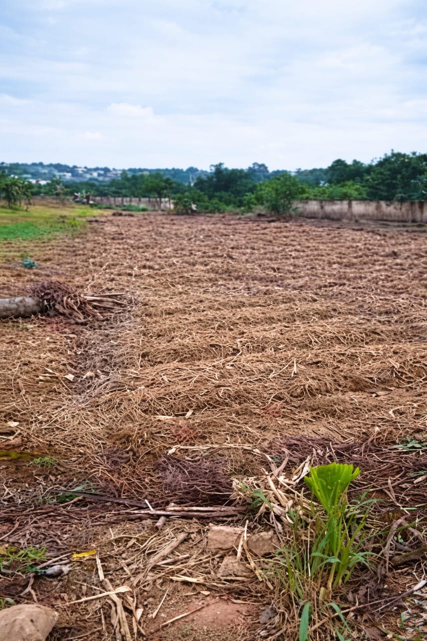 9c9abea3-f3b2-4375-a31a-82ad636ea70a Prime 7.26 Acres of Serviced Land in Sekondi-Takoradi, Western Region, Ghana