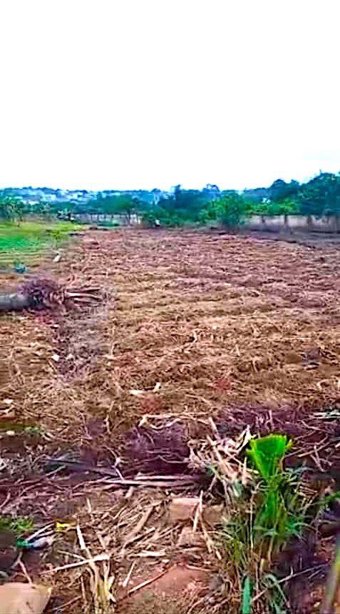 IMG_1101 Prime 7.26 Acres of Serviced Land in Sekondi-Takoradi, Western Region, Ghana